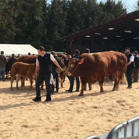 Maison Cogulet At Les Vergnes Gites Exideuil-sur-Vienne