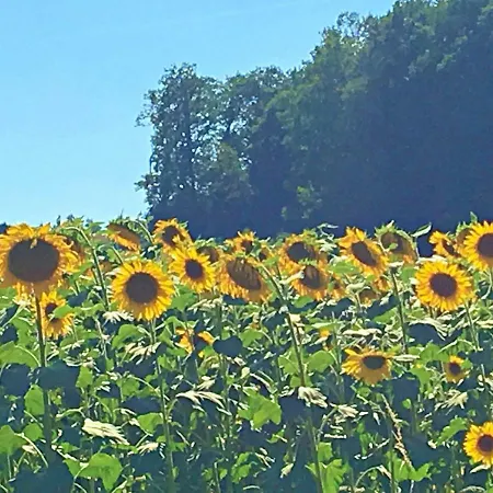 Maison Cogulet At Les Vergnes Gites *