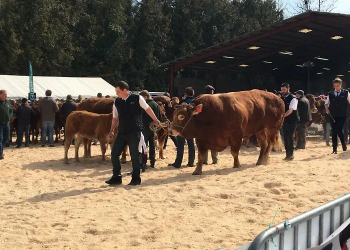 Maison Cogulet At Les Vergnes Gites Exideuil-sur-Vienne