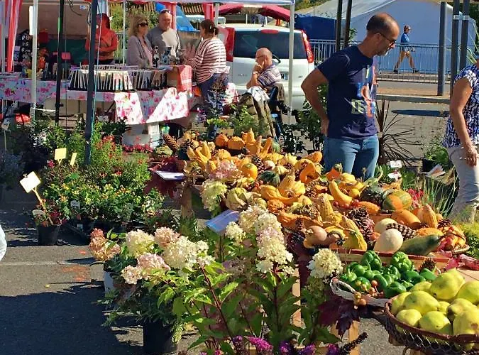 Maison Cogulet At Les Vergnes Gites